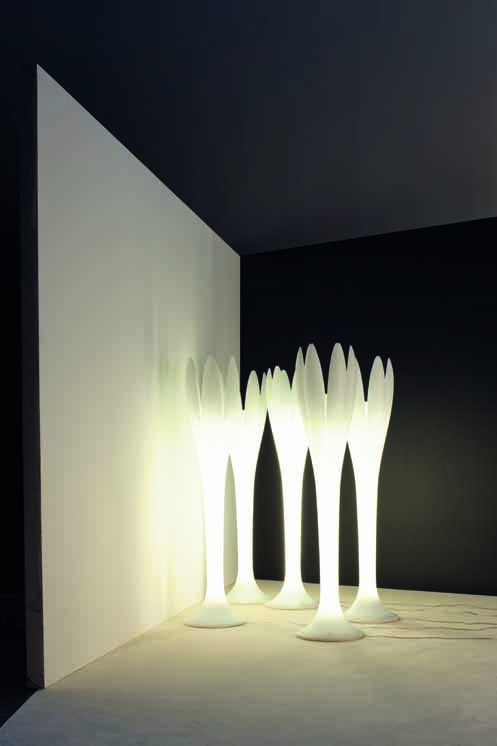eos-light-lr-jpg